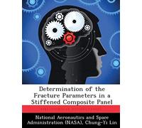 Determination Of The Fracture Parameters In A Stiffened Composite Panel