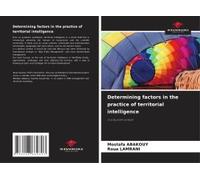 Determining Factors In The Practice Of Territorial Intelligence