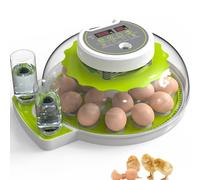 DETODDA 18 Oeufs Couveuse Automatique Retourneur d'oeufs automatique, Couveuse Oeuf Automatique, couveuses pour œufs de volailles, Contrôle de la température et Affichage de l'humidité