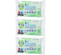 Dettol Lingettes Hygiéniques 2in1 Lingette(S) 3x12 pc(s)