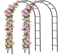 Deuba 2X Arche de Jardin 240x140x37cm Support pour Plantes grimpantes Arche à rosiers Tuteur Décoration extérieure