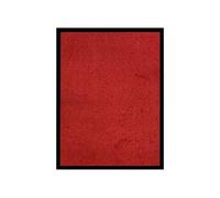 Deurmat 40x60 cm rood331580