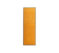 Paillasson Lavable Bleu 60x180 cm Tapis Couloir Entrée Porte Intérieur vidaXL