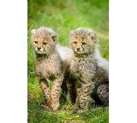 Deux adorables Petits léopards - Puzzle en Papier 1000 pièces - Jeu de décoration Murale pour la Maison 50 x 70 cm
