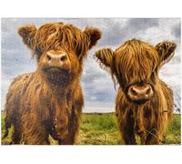 Deux Adorables Vaches des Highlands - Premium 1000 Pièces Puzzle - Collection spéciale de Puzzle Galaxy
