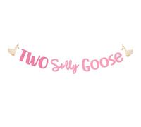 Deux bannières d'oie rose pour 2e anniversaire - Guirlande d'oie mignonne pour filles sur le thème des animaux de la ferme - Fournitures de décoration de fête d'anniversaire