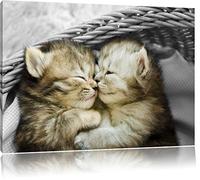 Deux bébé chat doux dans le panier blanc / noir Taille: 60x40 sur toile, XXL énormes Photos complètement encadrée avec civière, impression d'art sur murale avec cadre, moins cher que la peinture ou la peinture à l'huile, pas une affiche ou une bannière,