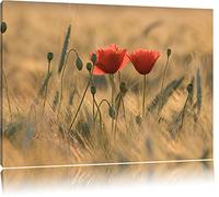 Deux belles coquelicots Format: toile 80x60auf, XXL énormes Photos complètement encadrés par la civière, l'impression de l'image Art mural avec cadre, moins cher que peintures à l'huile et de l'image, aucune affiche ou poster