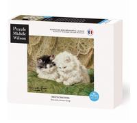 Deux chatons de ronner-knip