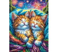 Deux chatons faisant la sieste dans une couverture en tricot 300 Pièces Puzzle Collectionneur En Carton Rigide Sans Déformation Faune sauvage et animaux de compagnie Haute Difficulté Niveau Expert Déc
