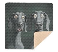 Deux chiens drôles Grand tapis antidérapant pour bébé Gym & Activités pour l'intérieur et l'extérieur Résistant à l'eau Tapis de divertissement pour bébés nourrissons tout-petits 127 x 127 cm