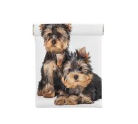 Deux Chiots Yorkshire Terrier, Sac de Rangement pour Femmes, Portefeuille supérieur à Presser, Petit Porte-Monnaie, Pochette de Changement