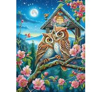 Deux Chouettes près d'une fenêtre Puzzles 1000 Pièces pour Adultes Educa Challenge Créatif Difficile 3D Qualité Supérieure Décoration Moderne Relaxation Cadeau 1000 PCS