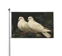 Deux colombes blanches perchées sur une branche à feuilles persistantes, bannière de vœux avec œillets, décoration d'intérieur ou d'extérieur