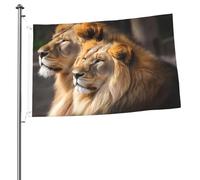 Deux drapeaux de lions de 6,1 x 91 cm avec impression double face pour l'extérieur, les vacances, bannière cadeau avec œillets pour décoration intérieure et extérieure