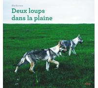 Deux loups dans la plaine