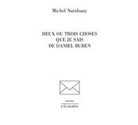 Deux ou trois choses que je sais de Daniel Buren - Michel Nuridsany - L'echoppe Eds De - broché - Biographie