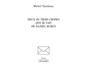Deux ou trois choses que je sais de Daniel Buren - Michel Nuridsany - L'echoppe Eds De - broché - Biographie