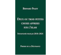 Deux ou trois petites choses apprises sur l'islam: Instantanés français 2018-2024