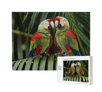 Deux perroquets sur palmier vert - Puzzle de 500 pièces pour adultes - Puzzle coloré pour décoration de la maison, cadeaux, puzzle familial parfait pour les soirées de jeux