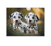 Deux Petits Chiens dalmatiens dorés,Jigsaw Puzzle 1000 Pièces Puzzles Adultes Enfants Intéressant 1000 Pièces Puzzle Personnalisé Jouets(50x70cm)-AA50