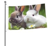 Deux petits lapins mignons drapeaux 61 x 91 cm Impression double face Drapeau de jardin Drapeau de cour pour l'extérieur Drapeaux de vacances Bannière cadeau avec œillets Toile de fond photo pour