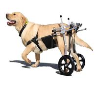 Deux Roues Dog Wheelchair Réglable Chariot Chien Handicapé pour la Rééducation des Jambes Arrières Fauteuil Roulant Chien,XL
