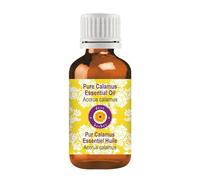 Deve Herbes Pure Huile essentielle de calamus (Acorus calamus) distillé à la vapeur 15ml (0.50 oz)