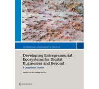 Developing Entrepreneurial Ecosystems For Digital Businesses And Beyond