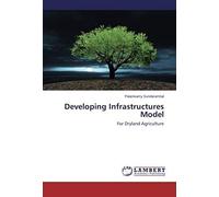 Developing Infrastructures Model