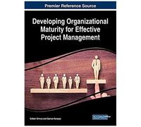 Developing Organizational Maturity For Effective Project Management