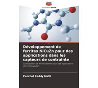 Développement de ferrites NiCuZn pour des applications dans les capteurs de contrainte: Composition de ferrite spinelle pour des applications dans les capteurs