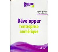 Développer l'entreprise numérique - Vincent Iacolare - Afnor - broché - Etude