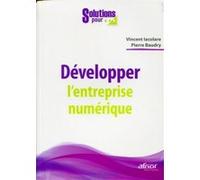 Développer l'entreprise numérique Vincent Iacolare (Auteur), Pierre Baudry (Auteur)