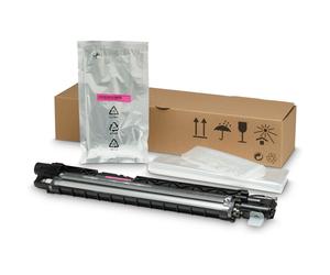 Développeur Magenta - HP - Compatible avec HP Color LaserJet E77825dn, E77830z - Rendement de 300000 pages