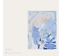 Devendra Banhart – Vast Ovoid – Vinyle 12" EP coloré
