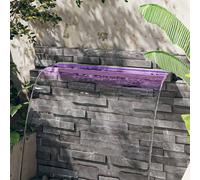 Déversoir pour Cascade avec LED RVB Inox 30 cm Piscine Etang Jardin vidaXL