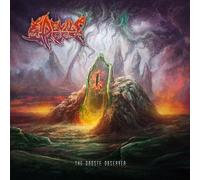 Devil's Reef - The Droste Observer [Vinyl Lp]
