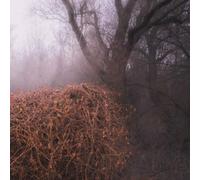 Devil'S Trade,the - Nincs Szennyezetlen Szép (Ltd Your Pieces Scattered Lp)