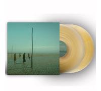 Devil'S Witches - in All Her Forms (Gold/Clear Marbled Col.2lp) [Import]