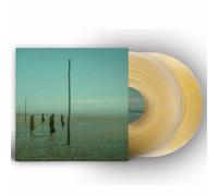 Devil'S Witches – In All Her Forms – Vinyle 2LP Or/transparent marbré