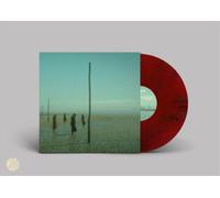 Devil's Witches – In All Her Forms – Vinyle 2LP marbré rouge/noir