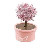 DEVNWIGMO Kit de Croissance de Cristaux Enfants Expériences Scientifiques Jouets D'Éducation Biologie Chimie Activité Créative Apprentissage Pratique Convient P, ROSE