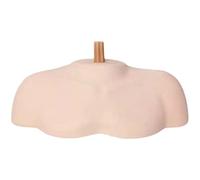 DEVNWIGMO Mannequin Cosmétique pour épaules, Buste, Plateforme D'épaules, Support de Tête pour La Formation En Salon de Coiffure, s