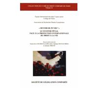 DEVOIR DE PUNIR ?: LE SYSTÈME PÉNAL FACE À LA PROTECTION INTERNATIONALE DU DROIT À LA VIE