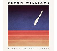 Devon Williams - Tear In The Fabric [Casete]