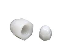 DeVow Écrou borgne DIN 1587 M3 M4 M5 M6 M8 M10 M12 M14 M16 M20 M24 Acier inoxydable 304 Nylon noir Laiton Couvercle Dôme Écrous borgnes(White Nylon,M12 (4pcs))