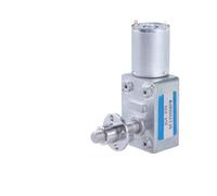 DeVow Moteur à engrenage à vis sans Fin à Couple élevé et Faible Vitesse de Rotation, avec Bride à vis, Arbre de Sortie 8 mm x 33 mm, Alimentation CC 6 V, 12 V ou 24 V.(Motor with Bracket,30RPM_24V)