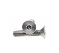 DeVow Vis à tête fraisée Plate à Six pans Creux en Titane Pur TA2 M2 M2.5 M3 M4 M5 M6 Boulons à Six pans Creux en Alliage de Titane(M2.5x15mm 10pcs)