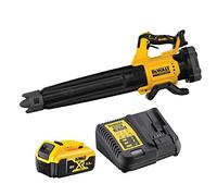 Souffleur DeWalt DCMBL562P1